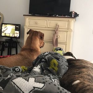 Meet your Posher, Kim